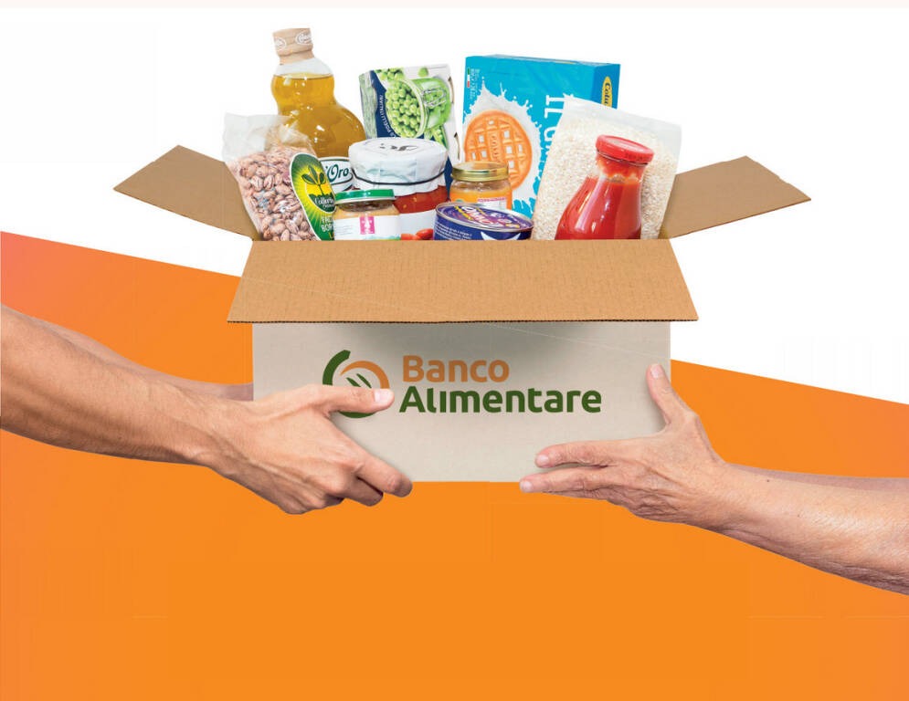 WhatsApp Image 2025 10 17 at 17.30.59 1